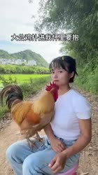17524907349240.mp4