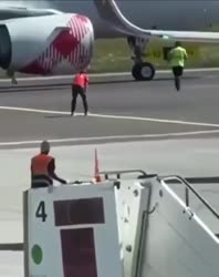 25445044484284905564.mp4