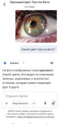 Screenshot20250731211641Google.jpg