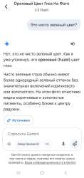 Screenshot20250731211659Google.jpg