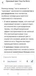 Screenshot20250731231541Google.jpg