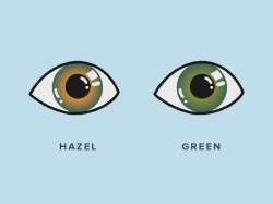 hazel-vs-green-eyes.webp
