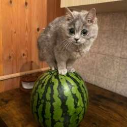 IMG2319.jpeg