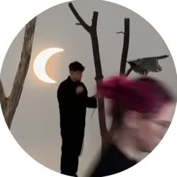 z.mp4