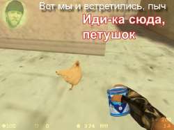 1233.jpg