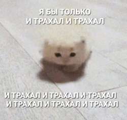 IMG20250718183756937.jpg