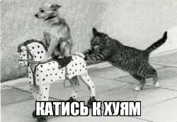 e0e69bac3ca3d66aed7f84178b68e631.jpeg