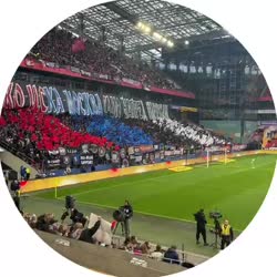 video (31).mp4