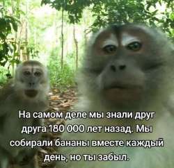IMG20250715061143803.jpg