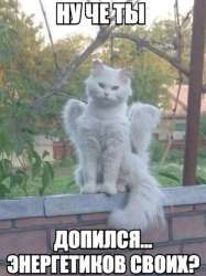 1740487884487.png