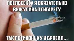 17525903684010[1].png