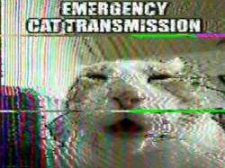 1752611650791490.jpg