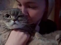cat2.mp4