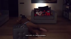 17383611884840.mp4