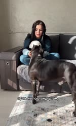 17516289351750.mp4