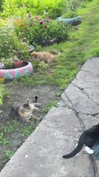 1613353571502.MOV