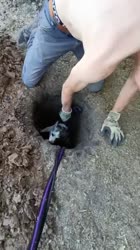 video2025-05-2419-13-31.mp4