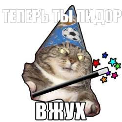 17526722429235287506080720030306.jpg