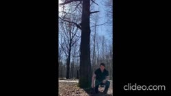 17545136885030.mp4