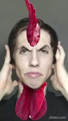 17540329300600.mp4