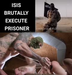 17547590491180.mp4