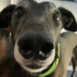 17074117100560.mp4