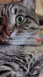 17526880993070.mp4