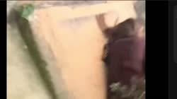 56899855433.mp4