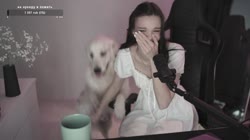 17523020111262.mp4