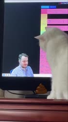 1000038076.mp4