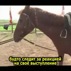 1752759348691.mp4