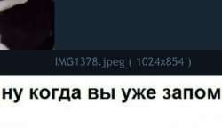 IMG1379.jpeg