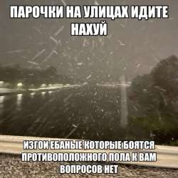 IMG8941.png