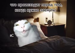 wEc84qpc.mp4