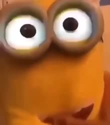 16776187905791.mp4