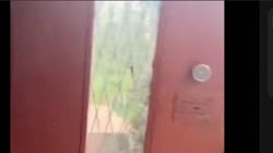 17527678755930.mp4