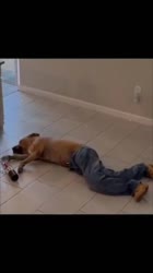 17521473543430.mp4