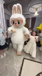 75306013306169.mp4