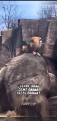 VID20250715065207197.mp4