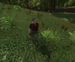 ScreenShot2025-07-181925190.jpg