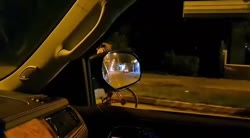 video5458651769607321875.mp4