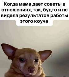 xefrdaoolg.jpg