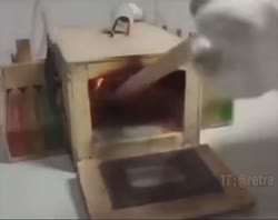 1716072383175.mp4