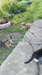 1752861078112.mov