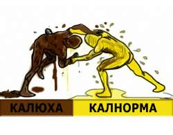 WHO iS WIN .jpg