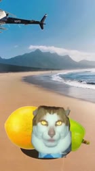 17209918733836.mp4