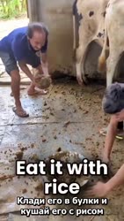 1752892166713.mp4