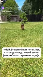 24 года!!!!!.mp4