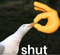 1752948597218.jpg