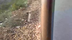 1752988242685.webm